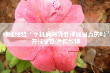 秒懂经验“手机麻将外卦神器是真的吗”开挂辅助透视教程