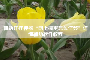辅助开挂神器“网上掼蛋怎么作弊	”详细辅助软件教程