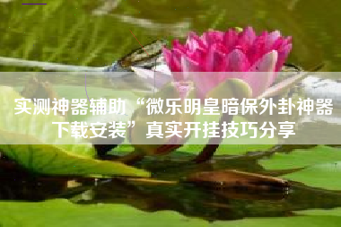 实测神器辅助“微乐明皇暗保外卦神器下载安装”真实开挂技巧分享