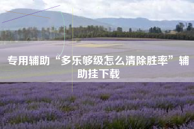 专用辅助“多乐够级怎么清除胜率	”辅助挂下载