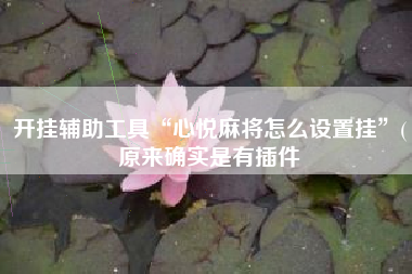 开挂辅助工具“心悦麻将怎么设置挂	”(原来确实是有插件