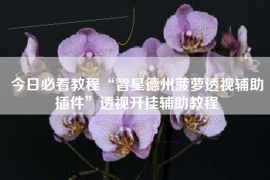 今日必看教程“智星德州菠萝透视辅助插件	”透视开挂辅助教程