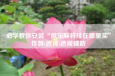 必学教你安装“微乐麻将挂在哪里买”作弊(透视)透视辅助