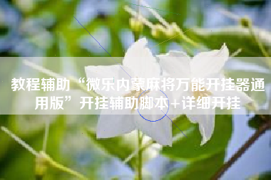 教程辅助“微乐内蒙麻将万能开挂器通用版”开挂辅助脚本+详细开挂