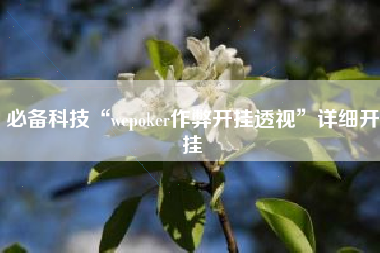 必备科技“wepoker作弊开挂透视”详细开挂