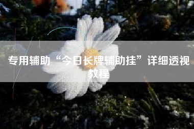 专用辅助“今日长牌辅助挂”详细透视教程