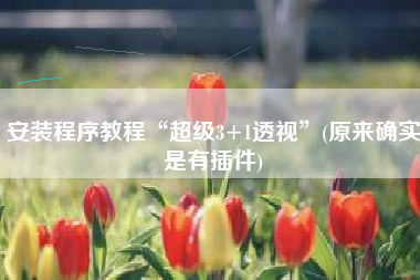 安装程序教程“超级3+1透视”(原来确实是有插件)