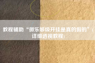 教程辅助“微乐够级开挂是真的假的	”(详细透视教程)