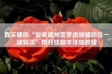 真实辅助“智星德州菠萝透视辅助挂一键购买	”附开挂脚本详细教程