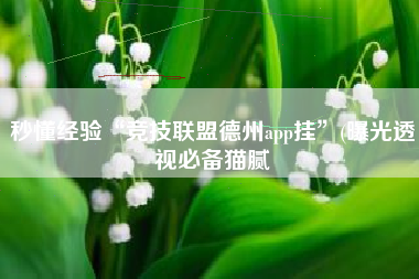秒懂经验“竞技联盟德州app挂”(曝光透视必备猫腻