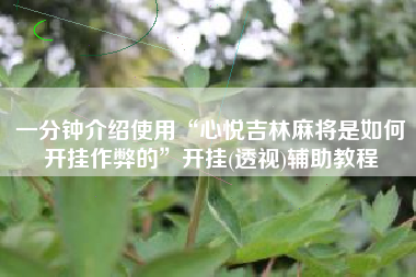 一分钟介绍使用“心悦吉林麻将是如何开挂作弊的”开挂(透视)辅助教程