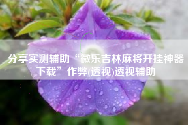 分享实测辅助“微乐吉林麻将开挂神器下载”作弊(透视)透视辅助