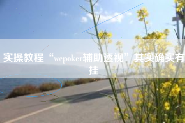 实操教程“wepoker辅助透视	”其实确实有挂