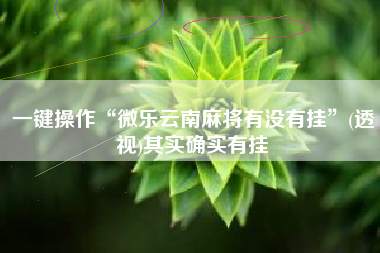 一键操作“微乐云南麻将有没有挂”(透视)其实确实有挂