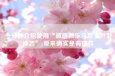 一分钟介绍使用“微信微乐斗地主外卦神器”(原来确实是有插件