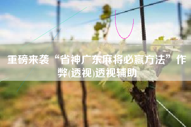 重磅来袭“省神广东麻将必赢方法	”作弊(透视)透视辅助