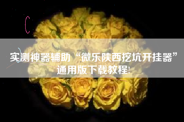 实测神器辅助“微乐陕西挖坑开挂器”通用版下载教程!