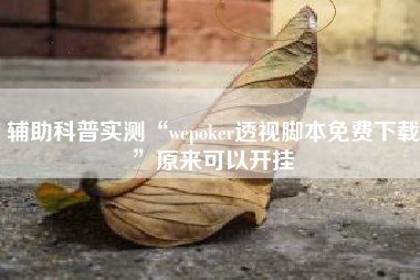 辅助科普实测“wepoker透视脚本免费下载”原来可以开挂