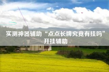 实测神器辅助“点点长牌究竟有挂吗	”开挂辅助