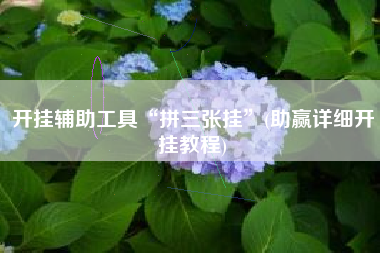 开挂辅助工具“拼三张挂”(助赢详细开挂教程)