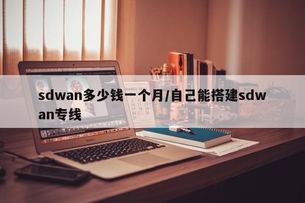 sdwan多少钱一个月/自己能搭建sdwan专线