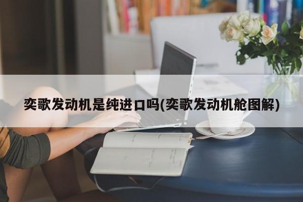 奕歌发动机是纯进口吗(奕歌发动机舱图解)