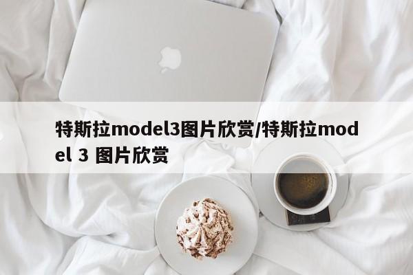特斯拉model3图片欣赏/特斯拉model 3 图片欣赏